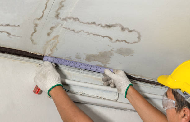 Reliable Water Damage contractor in Kahlotus, WA by Water Damage Irwin